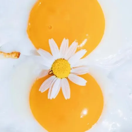 홀리데이파크 Lukka Çıralı